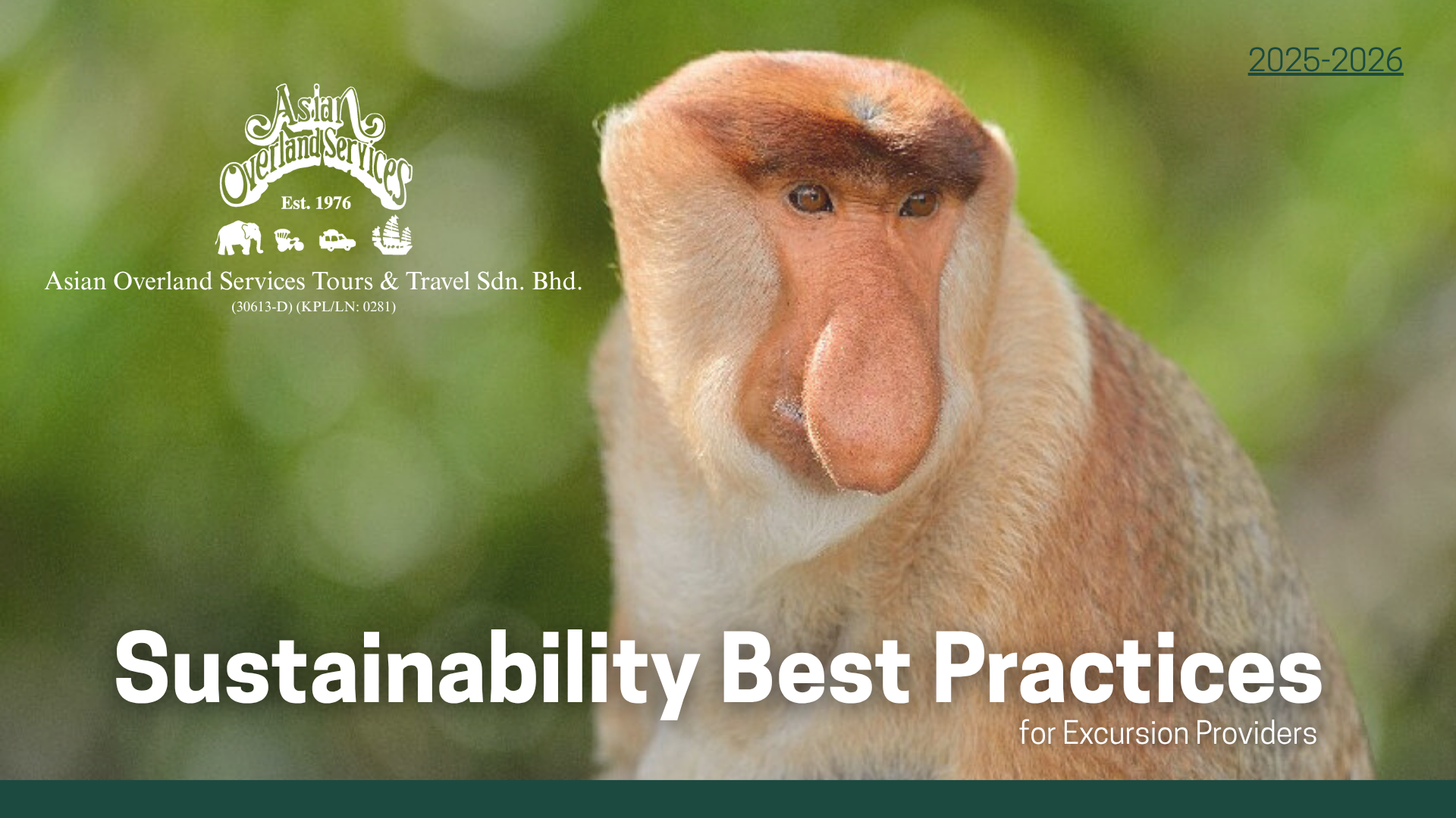 Best Practices (Excursion Providers)